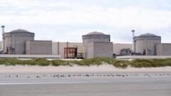 Jellyfish force partial shutdown of French nuclear plant