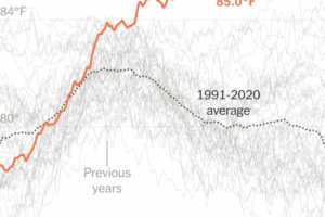 3 Charts That Explain El Niño